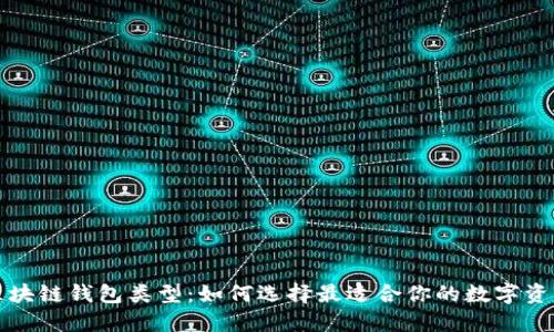 深入了解区块链钱包类型：如何选择最适合你的数字资产管理工具