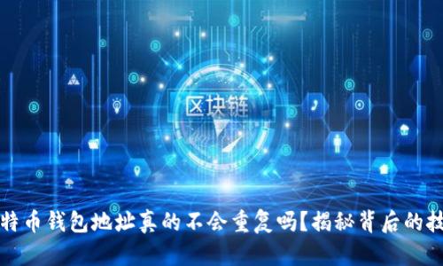 优质比特币钱包地址真的不会重复吗？揭秘背后的技术原理
