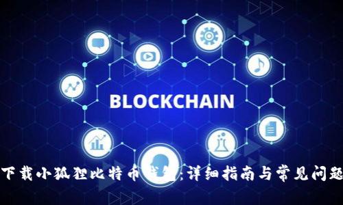 如何下载小狐狸比特币钱包：详细指南与常见问题解答