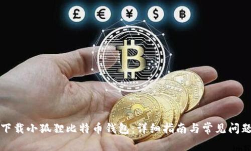 如何下载小狐狸比特币钱包：详细指南与常见问题解答
