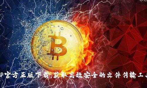 TP官方正版下载：获取高效安全的文件传输工具