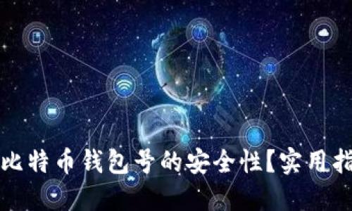 如何确保比特币钱包号的安全性？实用指南与技巧
