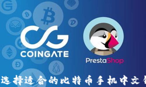 
如何选择适合的比特币手机中文钱包？