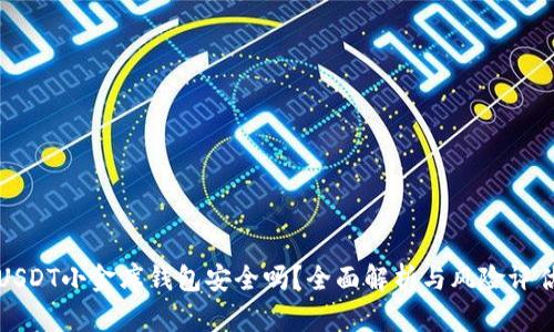 USDT小金库钱包安全吗？全面解析与风险评估
