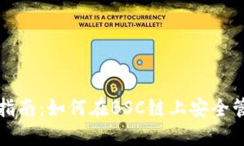 TP钱包使用指南：如何在BSC链上安全管理数字资产