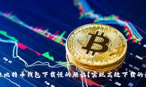 如何解决比特币钱包下载慢的烦恼？实现高效下载的最佳方法