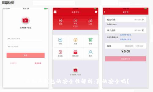 虚拟币钱包的安全性解析：真的安全吗？