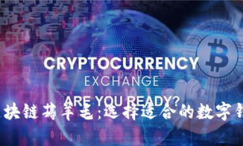 biaso区块链薅羊毛：选择适合的数字钱包指南