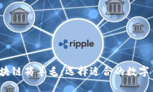 biaso区块链薅羊毛：选择适合的数字钱包指南