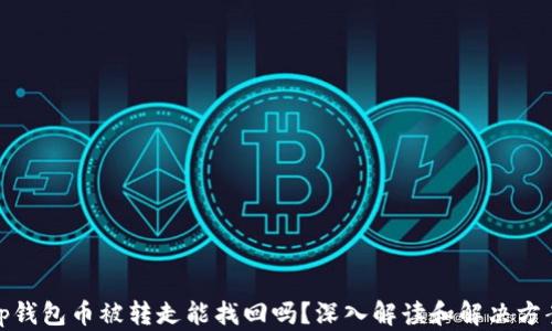 
tp钱包币被转走能找回吗？深入解读和解决方案