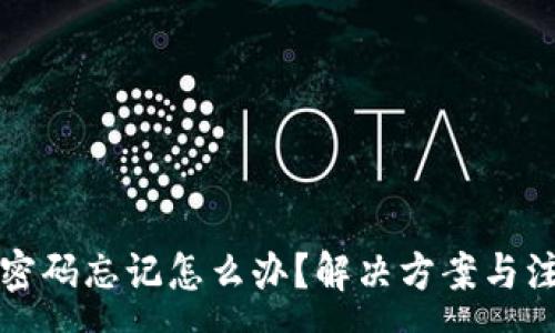 :

TP钱包密码忘记怎么办？解决方案与注意事项