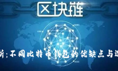 全面解析：不同比特币钱包的优缺点与选择指南