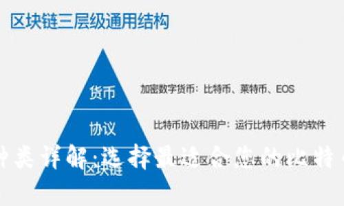 比特币钱包的种类详解：选择最适合您的比特币存储解决方案