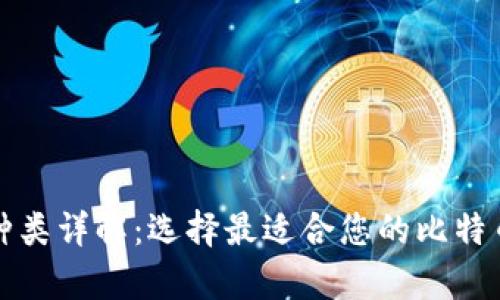 比特币钱包的种类详解：选择最适合您的比特币存储解决方案