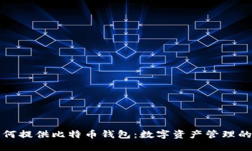 公司为何提供比特币钱包：数字资产管理的新选择