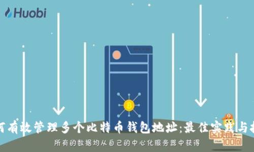 如何有效管理多个比特币钱包地址：最佳实践与技巧