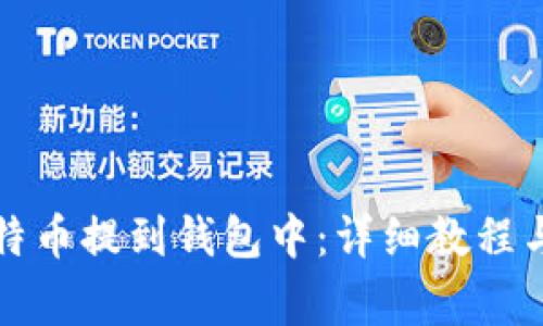 如何将比特币提到钱包中：详细教程与注意事项
