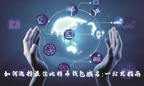 如何选择最佳比特币钱包域名：一站式指南