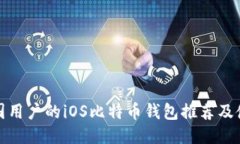 适合中国用户的iOS比特币