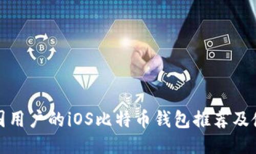 适合中国用户的iOS比特币钱包推荐及使用指南