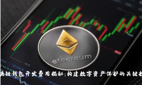 区块链钱包开发费用揭秘：构建数字资产保护的关键投入