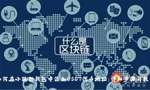 如何在小狐狸钱包中添加USDT代币地址：详细步骤与技巧