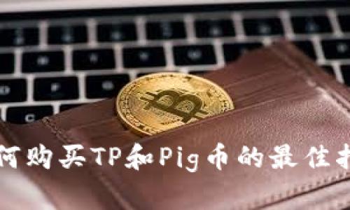 如何购买TP和Pig币的最佳指南