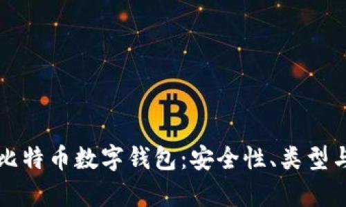 全面解析比特币数字钱包：安全性、类型与使用指南