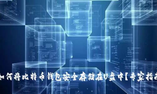 如何将比特币钱包安全存储在U盘中？专家指南