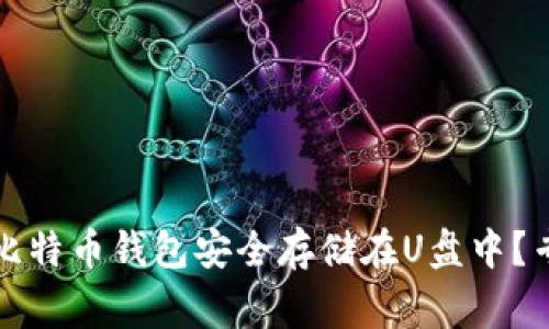 如何将比特币钱包安全存储在U盘中？专家指南
