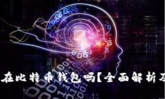 USDT能放在比特币钱包吗？
