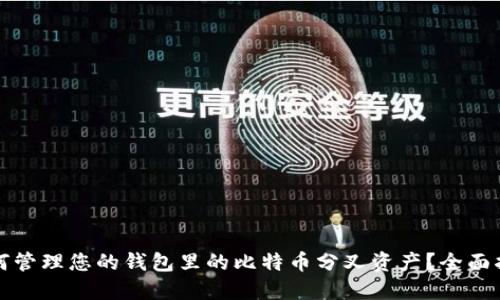 如何管理您的钱包里的比特币分叉资产？全面指南