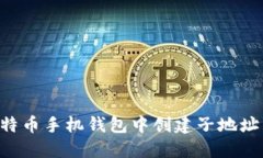 如何在比特币手机钱包中