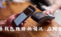 br如何处理比特币钱包跑路