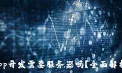   TP钱包的DApp开发需要服务