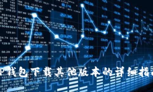 TP钱包下载其他版本的详细指南