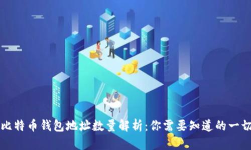 比特币钱包地址数量解析：你需要知道的一切