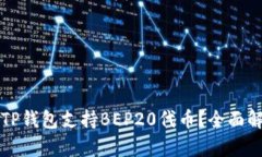 怎样使用TP钱包支持BEP20代