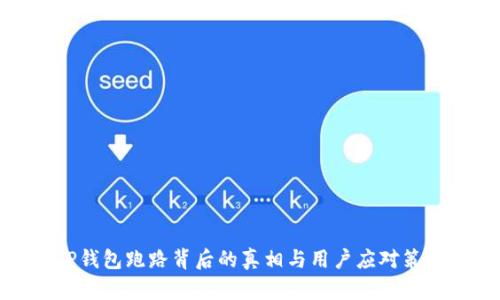 TP钱包跑路背后的真相与用户应对策略