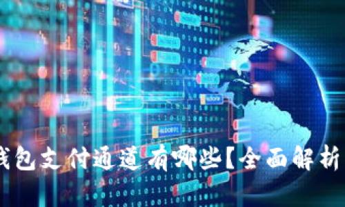 USDT钱包支付通道有哪些？全面解析与比较