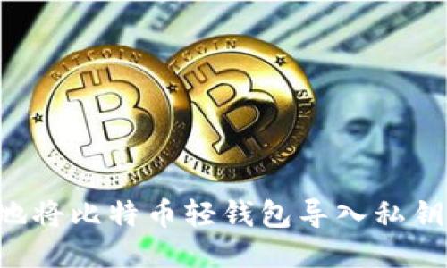 如何安全地将比特币轻钱包导入私钥：全面指南