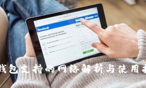 TP钱包支持的网络解析与使用指南