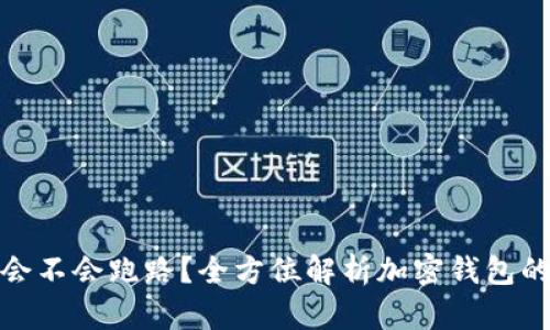 tp钱包会不会跑路？全方位解析加密钱包的安全性