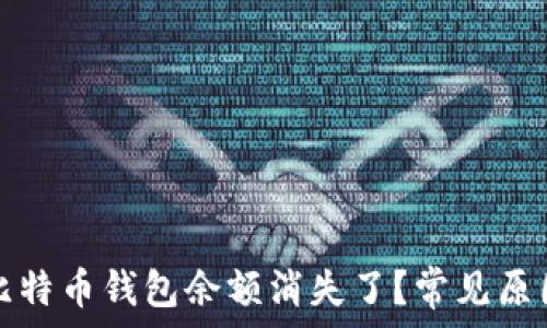   
为什么我的比特币钱包余额消失了？常见原因与解决方案