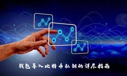 钱包导入比特币私钥的详尽指南