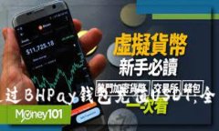 如何通过BHPay钱包充值US