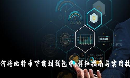 如何将比特币下载到钱包中：详细指南与实用技巧