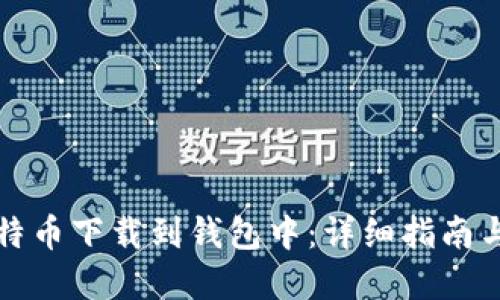 如何将比特币下载到钱包中：详细指南与实用技巧