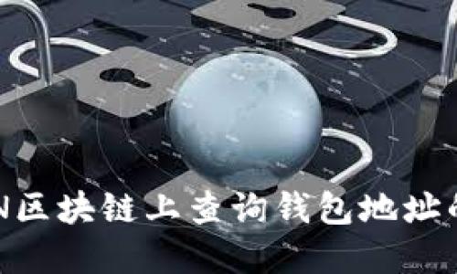 如何在BSN区块链上查询钱包地址的详细指南