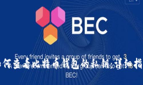 如何查看比特币钱包的私钥：详细指南